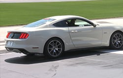 Mustang 50th Anniversary