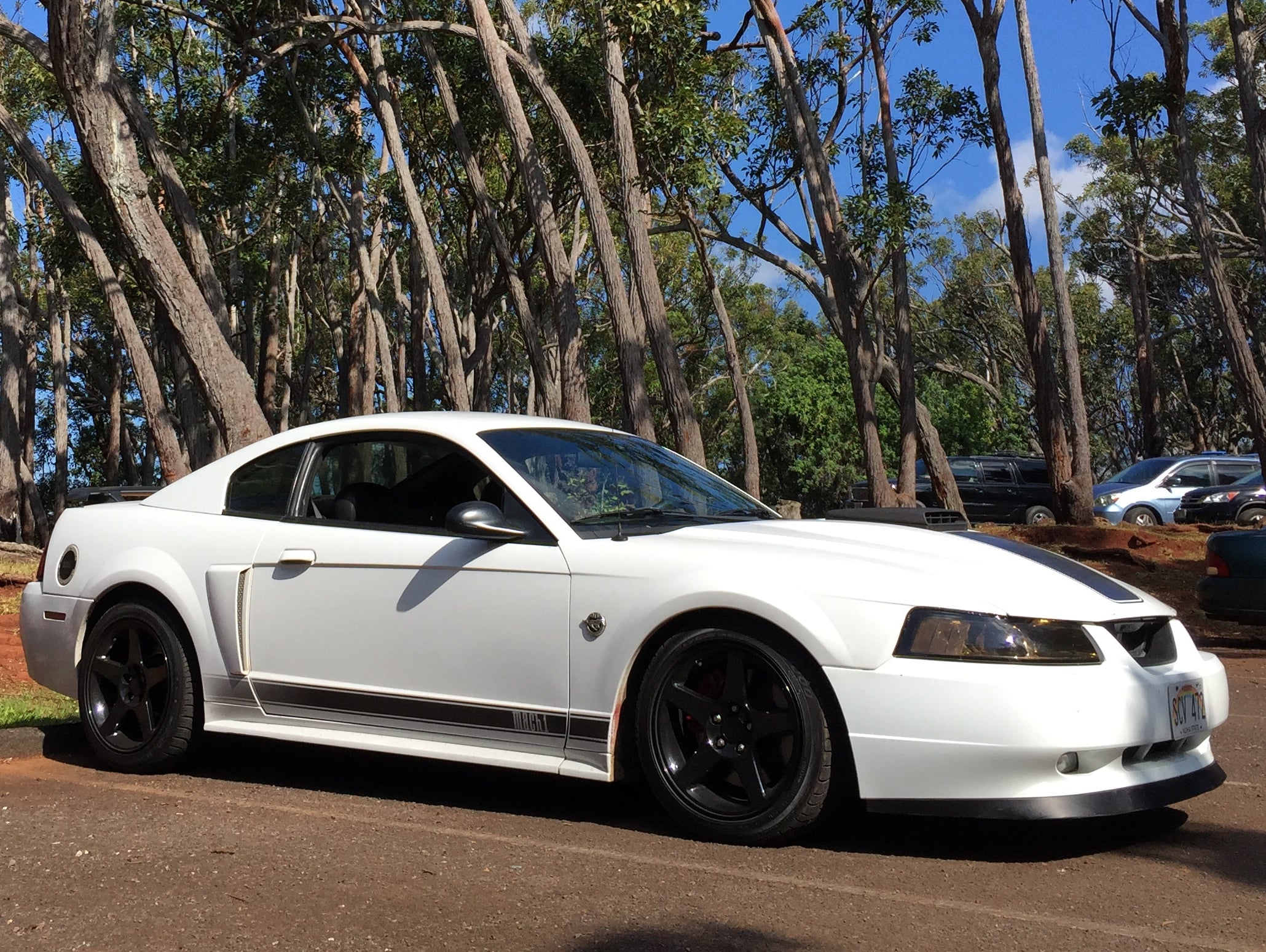 White 2003–2004 Ford Mustang Mach 1 New Edge coupe with black wheels and hood stripe parked among tall trees.