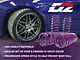 D2 Racing Pro Series Lowering Springs (16-24 Camaro w/o 1LE Package)