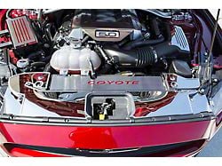 Polished Coyote Radiator Cover Vanity Plate; Bright Red Inlay Solid (15-17 Mustang GT, EcoBoost, V6)
