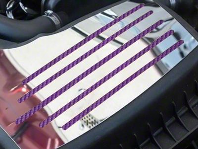 Polished Factory Air Box Accent Plate; Purple Carbon Fiber Inlay (15-23 Mustang GT, EcoBoost, V6)