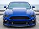 SEC10 AmericanMuscle Windshield Banner; Gloss Black (05-14 Mustang)