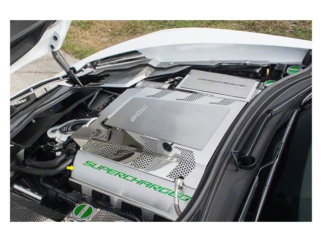 Fuel Rail Covers; Synergy Green Solid (15-19 Corvette C7 Z06)