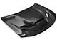 Anderson Composites Type-OE Hellcat Style Hood; Carbon Fiber (15-23 Charger)