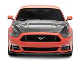 Anderson Composites Type-OE Hood; Double Sided Carbon Fiber (15-17 Mustang GT, EcoBoost, V6)