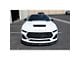 APR Performance Front Wind Splitter; Carbon Fiber (24-25 Mustang GT w/ Performance Pack)