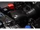 APR Performance Intake Box Top Covers; Carbon Fiber (24-25 Mustang GT, Dark Horse)