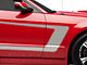 SEC10 Silver Boss C-Style Side Stripe (05-14 Mustang)