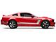 SEC10 Silver Boss C-Style Side Stripe (05-14 Mustang)