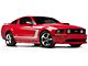 SEC10 Silver Boss C-Style Side Stripe (05-14 Mustang)