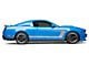 SEC10 Silver Boss C-Style Side Stripe (05-14 Mustang)