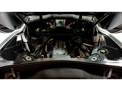 Engine Bay Trim Panel Accents; Gloss Hydro Carbon Fiber (20-25 Corvette C8)