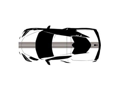 CA Front to Back Dual Stripes; Gloss Silver (20-25 Corvette C8)