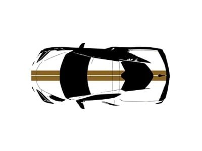 CA Front to Back Dual Stripes; Matte Gold (20-25 Corvette C8)