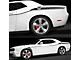 Arrow Side Accent Stripes; Gloss Black (11-14 Challenger)
