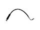 Front Brake Hose (17-21 AWD Challenger)