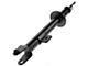 Front Struts with Sway Bar Links (08-10 Challenger)