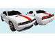 Rallye Redline Over Roof Stripes; Red (08-14 Challenger)