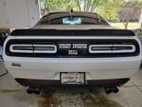 Tail Light Tint Overlay; White (15-23 Challenger)