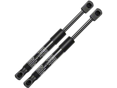 Trunk Lift Support Struts (08-23 Challenger)