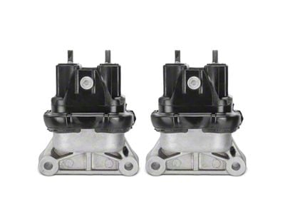 Engine Mounts (06-10 V6 RWD Charger)