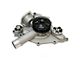 Engine Water Pump (09-10 5.7L HEMI Charger)