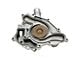 Engine Water Pump (09-10 5.7L HEMI Charger)