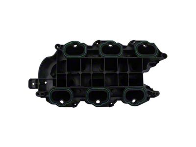 Intake Manifold; Lower (11-21 3.6L Charger)