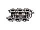 Intake Manifold; Lower (11-21 3.6L Charger)