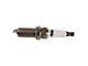 Iridium Spark Plugs; 16-Piece (06-08 5.7L HEMI Charger; 06-10 6.1L HEMI Charger)