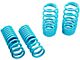 Traction-S Performance Lowering Springs (11-23 V6 RWD Charger w/o Nivomat)