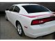 Valiant Style Trunk and Side Stripes; Gloss Black (11-14 Charger)