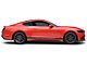 SEC10 Quarter Marker and Turn Signal Light Tint; Smoked (18-23 Mustang GT, EcoBoost)