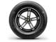 Continental ProContact TX Tire (275/40R19)