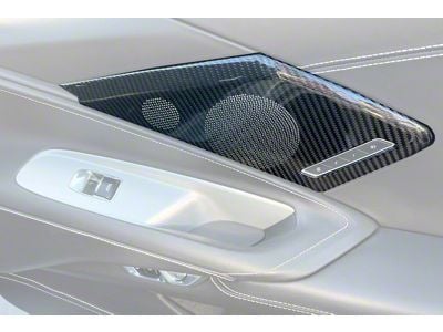 Door Speaker Covers; Carbon Fiber (20-25 Corvette C8)