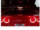 Glow Plate with Blue Flags Over Text Logo; Clear (05-13 Corvette C6 Coupe)