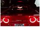 Glow Plate with White Flags Over Text Logo; Clear (05-13 Corvette C6 Coupe)