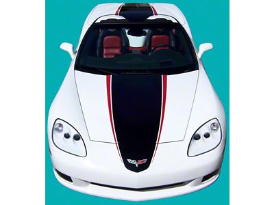 Pan Style Racing Stripe; Black/Silver (05-13 Corvette C6)