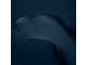 Coverking Satin Stretch Indoor Car Cover; Black/Dark Blue (2013 Mustang BOSS 302)