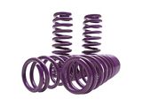 D2 Racing Pro Series Lowering Springs (10-15 Camaro Coupe)