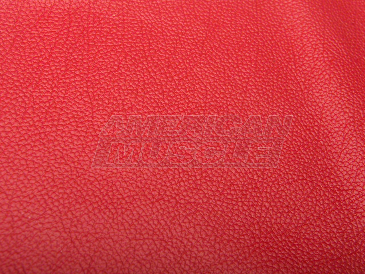 SpeedForm Mustang Door Insert Covers; Red 102217 (05-09 Mustang) - Free ...