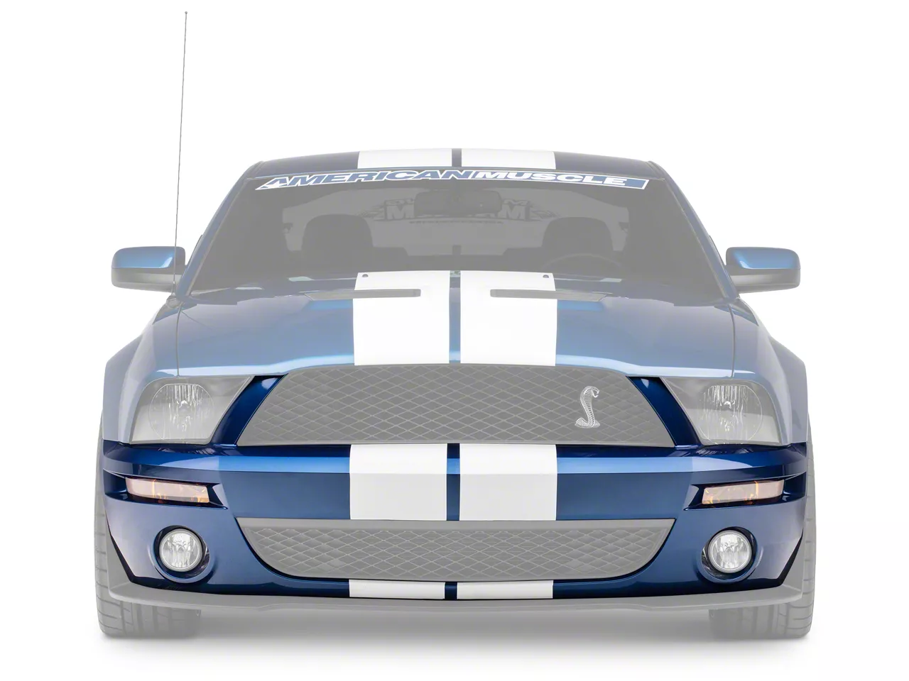 Bumper and Hood Clear Bra for Ford Mustang Gt 500 2008-2009