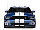 Ford GT500 Fog Light (07-14 Mustang GT500)
