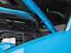 Ford Performance Hood Strut Kit with Ford Performance Logo (05-14 Mustang)
