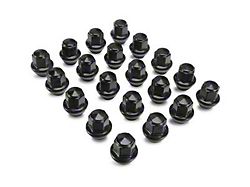 Ford Performance Black Lug Nut Kit; 14mm x 1.50; Set of 20 (21-24 Mustang Mach-E)