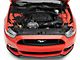 Ford Performance Strut Tower Brace (15-24 Mustang GT, EcoBoost, Dark Horse)