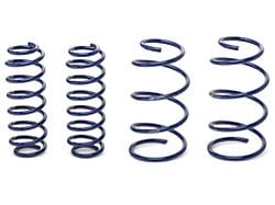 Ford Performance 2013 Cobra Jet Drag Spring Kit (05-14 Mustang GT, GT500)