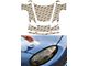 Lamin-X Clear Car Bra (06-13 Corvette C6 Z06)