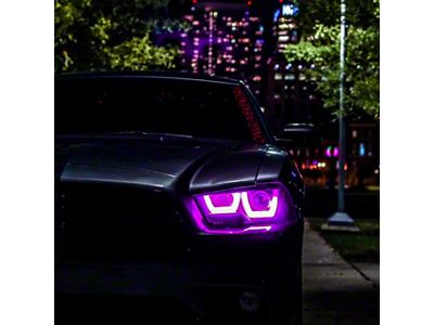 Lighting Trendz Spec-D U-Bar Headlight RGBW DRL Boards (11-14 Charger)