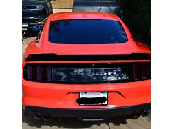 1-Piece Wicker Bill; Standard (15-23 Mustang w/ Roush Rear Spoiler)